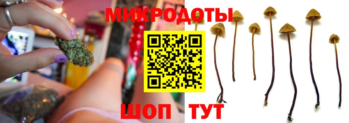 Псилоцибиновые грибы Psilocybine cubensis  Галлюциногенные грибы прущие грибы  Джанкой  продажа наркотиков  Вход с VPN 